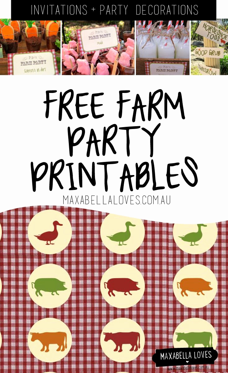 Barnyard Birthday Invitation Templates Luxury 25 Best Ideas About Farm Party Invitations On Pinterest
