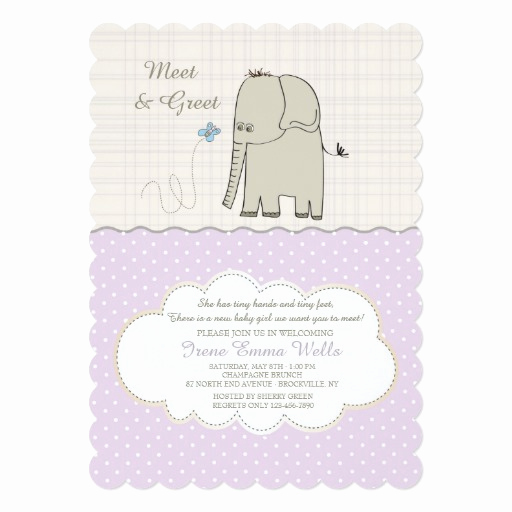 Meet and Greet Invitation Beautiful Meet &amp; Greet Baby Girl Invitation