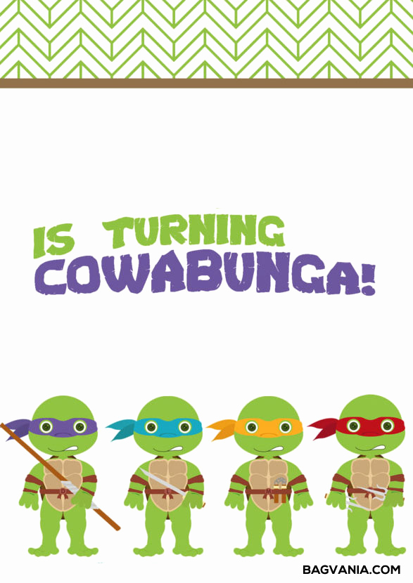 Ninja Turtles Birthday Invitation Templates Luxury Free Printable Ninja Turtle Birthday Party Invitations