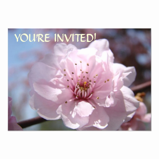 You Re Invited Invitation Fresh Custom Invitations You Re Invited Pink Blossoms