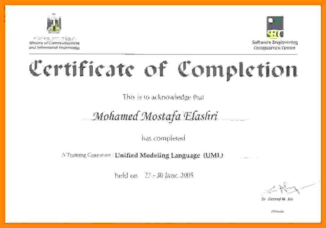 Printable Doc Pdf Editable Training Certificate Template Pertaining To Certificat Training Certificate Certificate Of Completion Template Certificate Templates