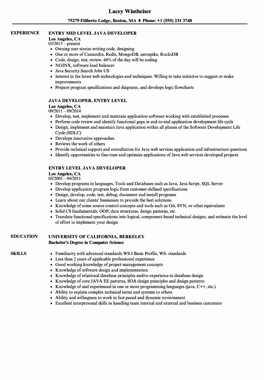 Computer Science Resume Entry Level Fresh Entry Level Java Developer Resume Samples Web Developer Resume Resume Format Examples Resume Examples