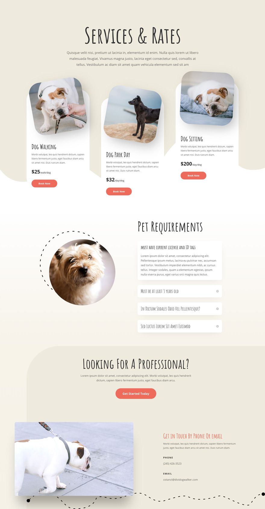 Get A Free Dog Walker Layout Pack For Divi Website Banner Design Web Layout Design Website Design