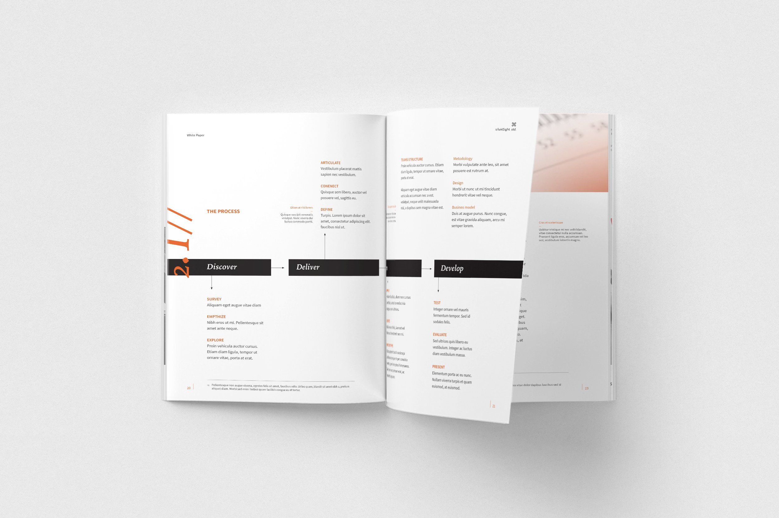 White Paper Brochure Template White Paper Brochure Design Template