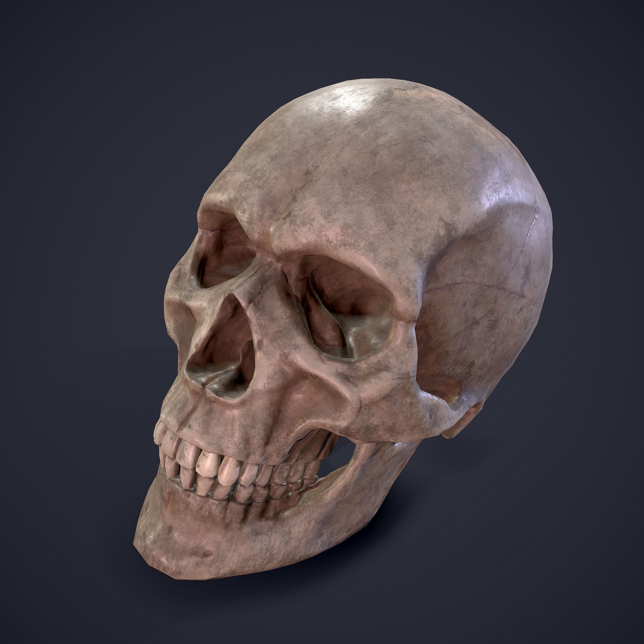 Skull 3d Model Skull 3d Model Low Poly 3d Models