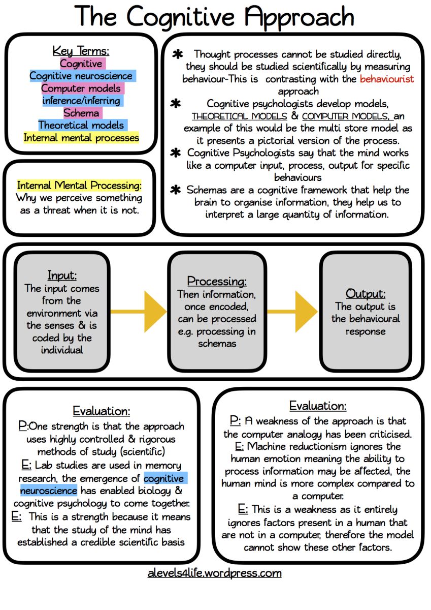 Psychology Approaches The Cognitive Approach Revision Notes Teaching Psychology Psychology Studies Psychology Student