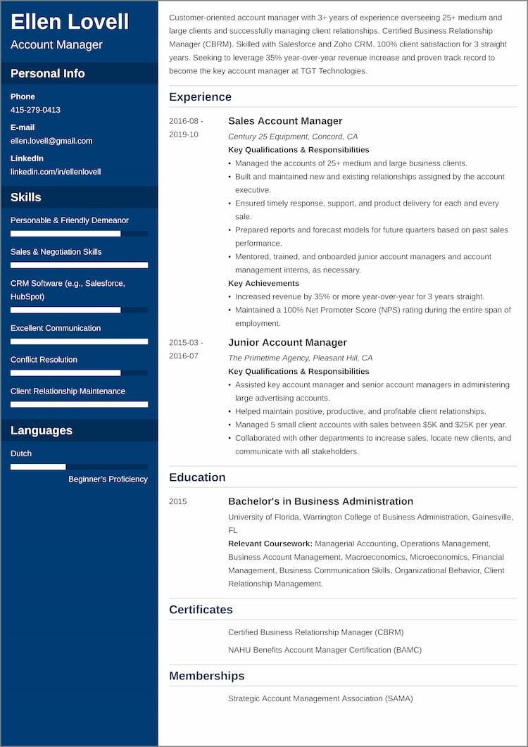 Account Manager Resume Examples And 25 Writing Tips