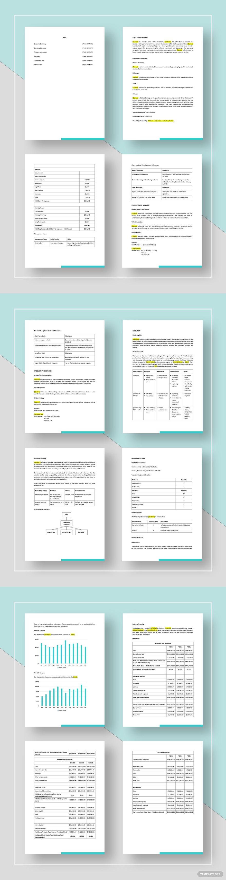 Car Rental Business Plan Template Google Docs Word Apple Pages Pdf Template Net Business Plan Template Business Planning How To Plan